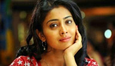 List of Hindi Dubbed Movies of Shriya Saran (24)